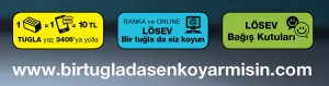 LÖSEV: Bir Tuğla da Siz Koyun Bağış Kampanyası